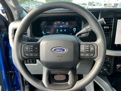 2025 Ford F-250 Super Duty SRW Black Widow