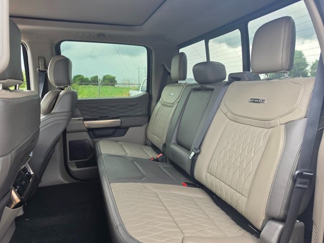 2025 Ford Super Duty F-450 DRW Platinum