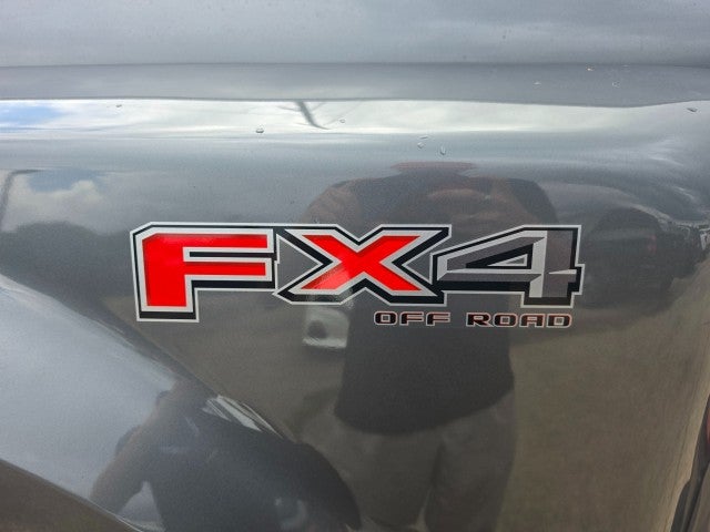 2025 Ford Super Duty F-450 DRW Platinum
