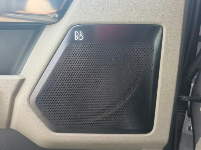 2025 Ford Super Duty F-450 DRW Platinum