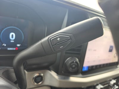 2025 Ford Super Duty F-450 DRW Platinum