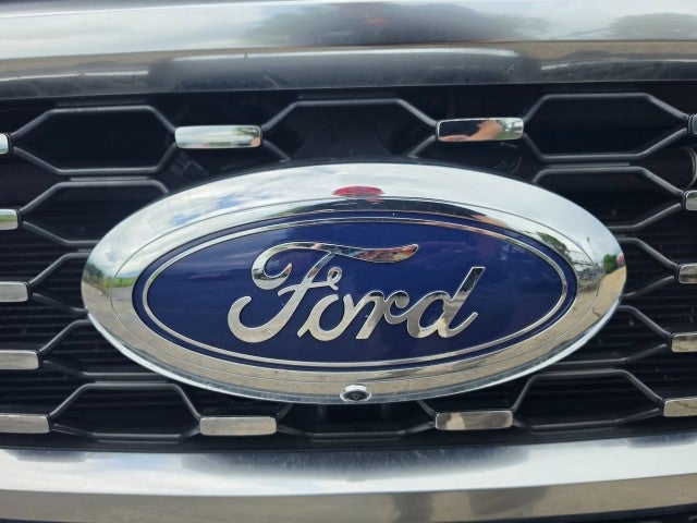 2025 Ford Super Duty F-450 DRW Platinum